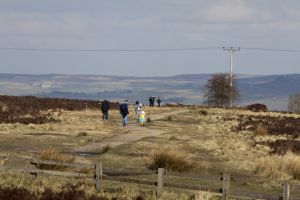 hoggy moor sm.jpg